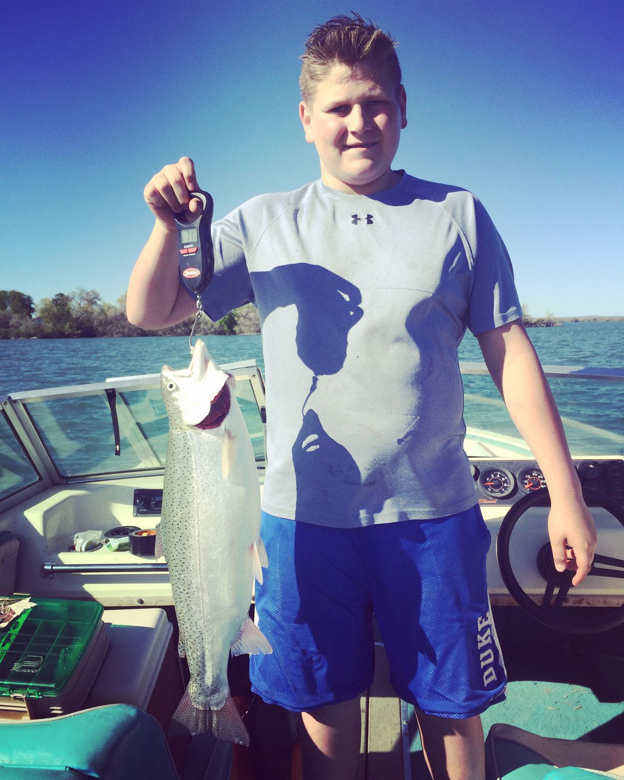 Big Fish